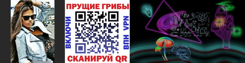 KRAKEN tor  Алексеевка  Псилоцибиновые грибы мицелий 